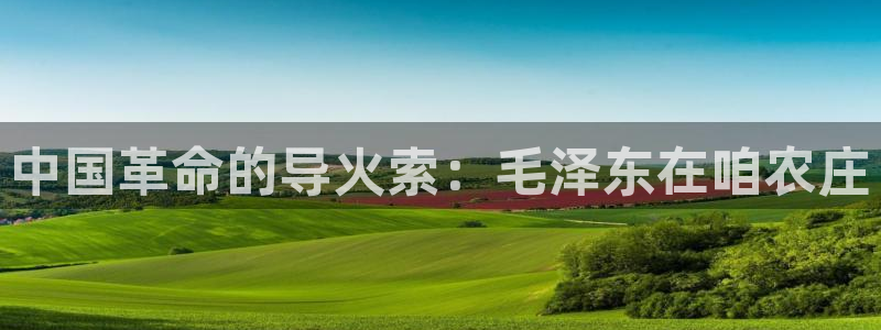 必一体育验证码