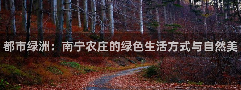 必一运动B-Sport官方网站入口