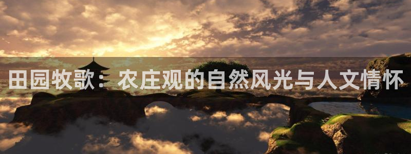 必一体育在哪下