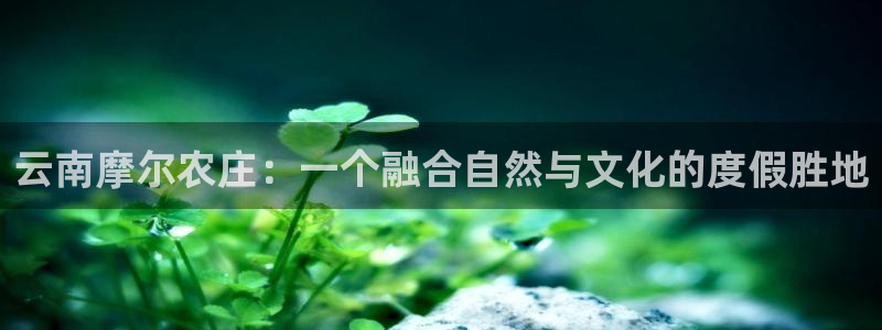 必一体育全站在线登录入口