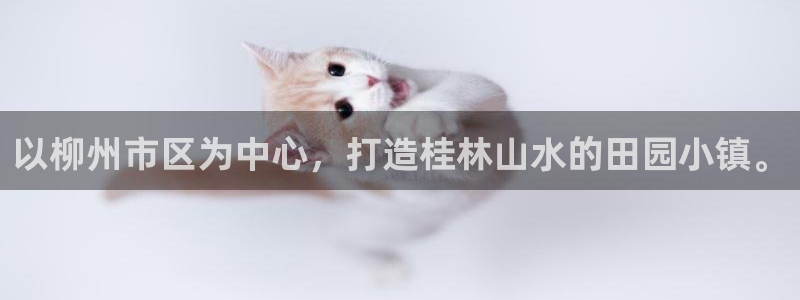 必一体育运动app