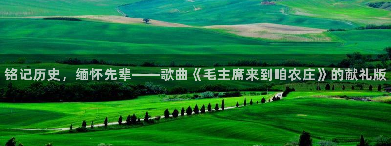 必一体育手机下载