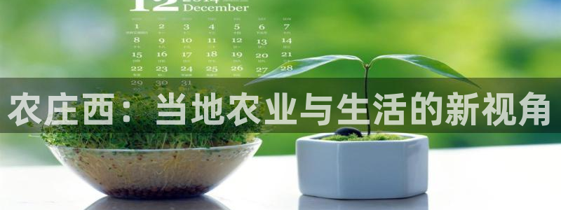 必一运动体育官网