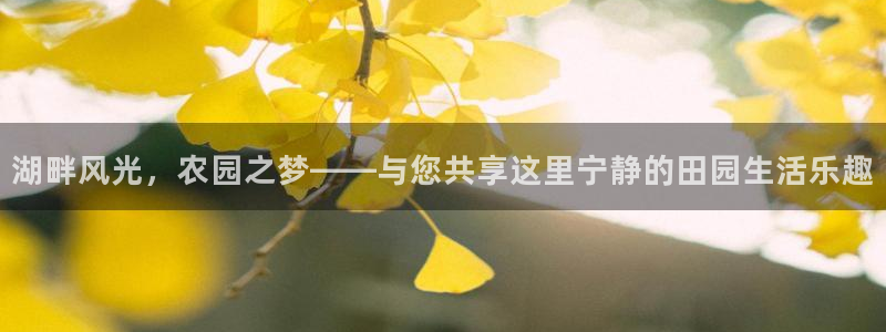 必一运动官网