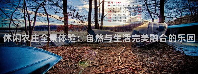 必一体育怎么下载