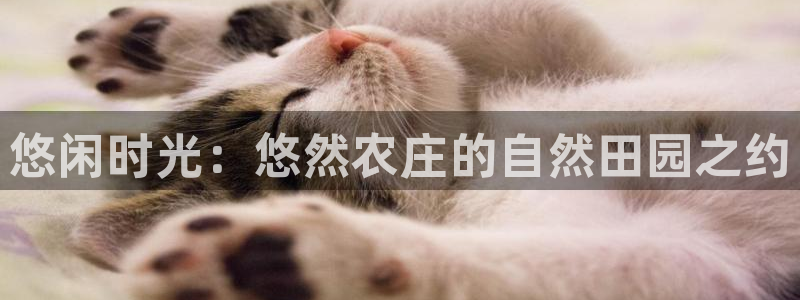 必一体育验证码