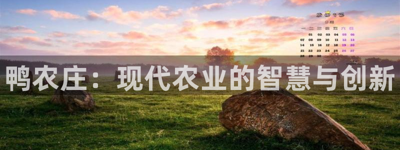 必一体育电子app