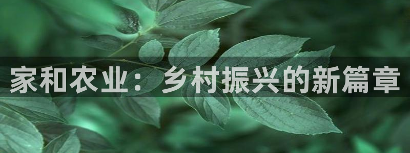 必一体育sport官网