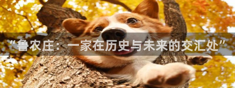 必一体育网页登陆