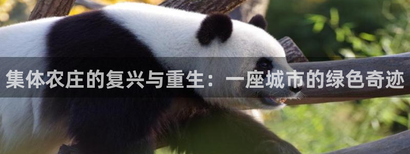 必一体育app下载