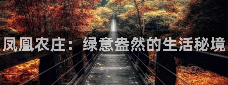 必一体育官方下载