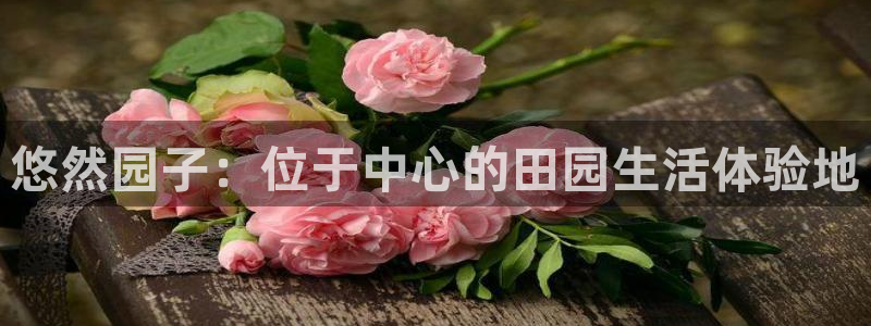 b体育官网下载入口app必一