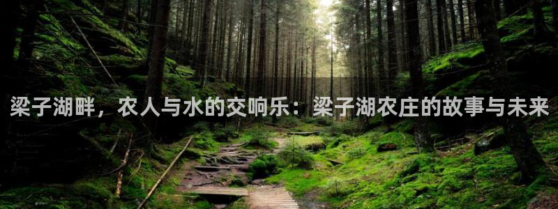 b体育官网下载入口app必一