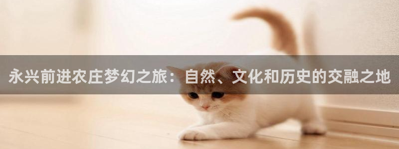 必一运动·(b-sports)官方网站