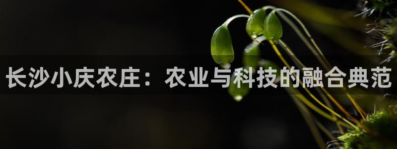 必一运动体育官网下载