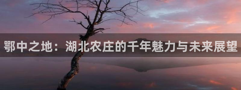 b体育必一运动网页版在线登录入口