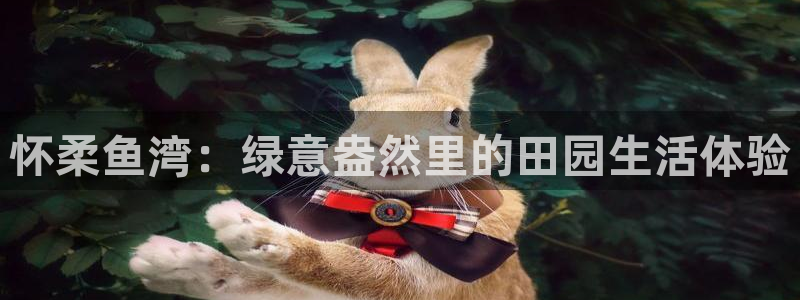 必一体育sport官方网站