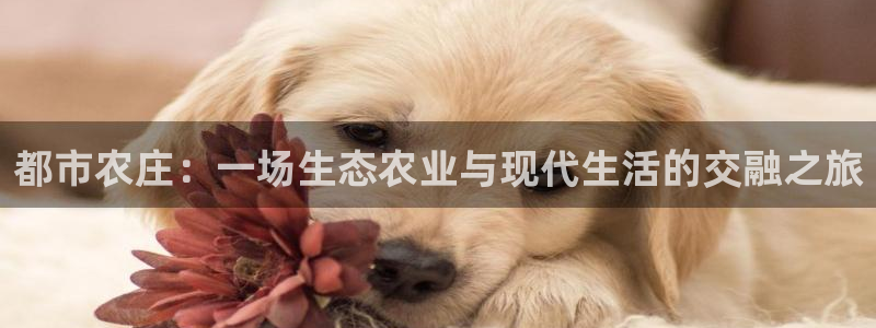 必一体育周公