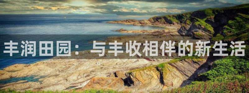 必一体育黑钱
