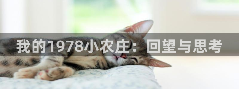 必一体育合法吗