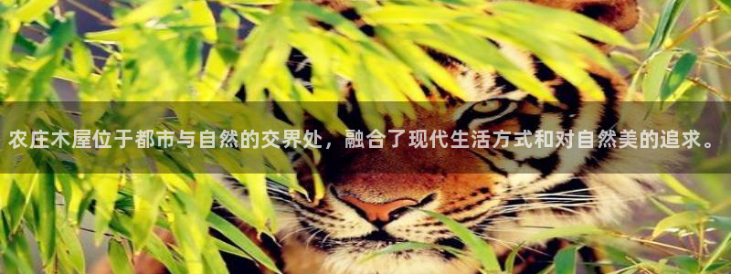 必一体育怎么下载