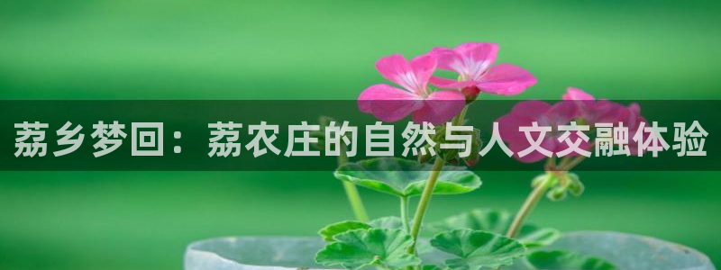 必一运动tieba.baidu.com