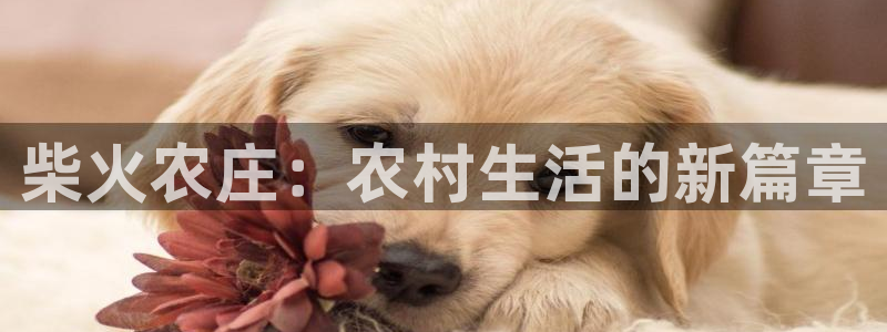 必一运动体育官网