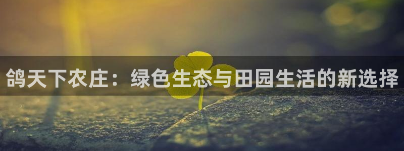 必一体育下载登入