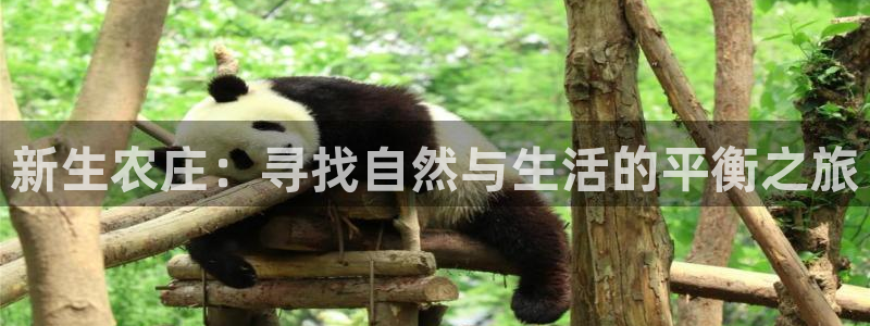 必一体育app下载最新版本