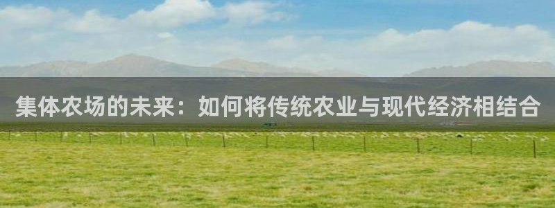 必一体育sport官网