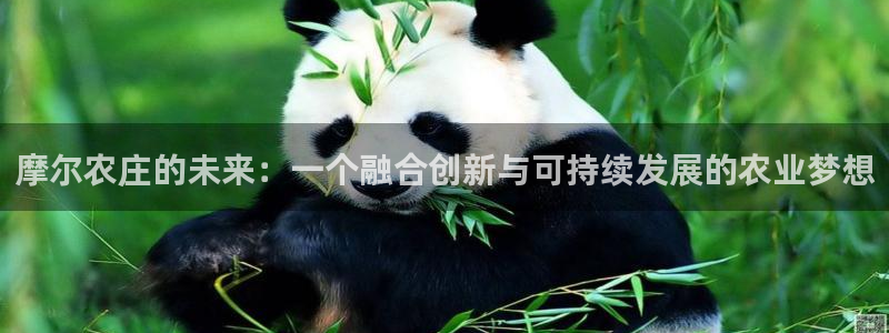 必一体育app下载装机吧