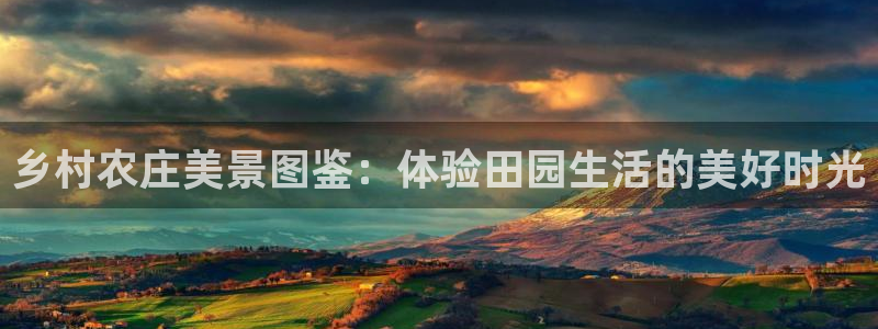 必一体育sportB体育