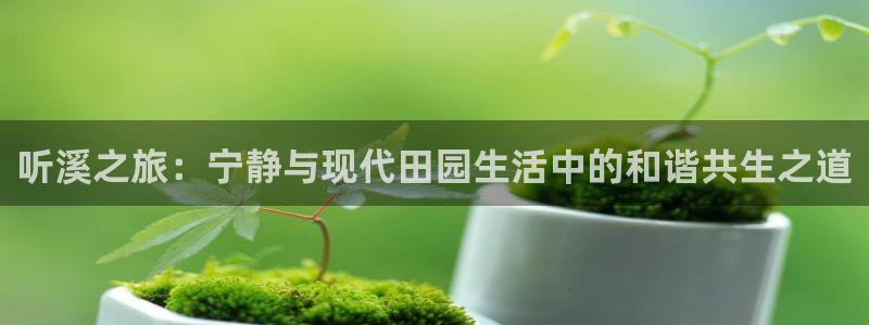 必一体育秀给网