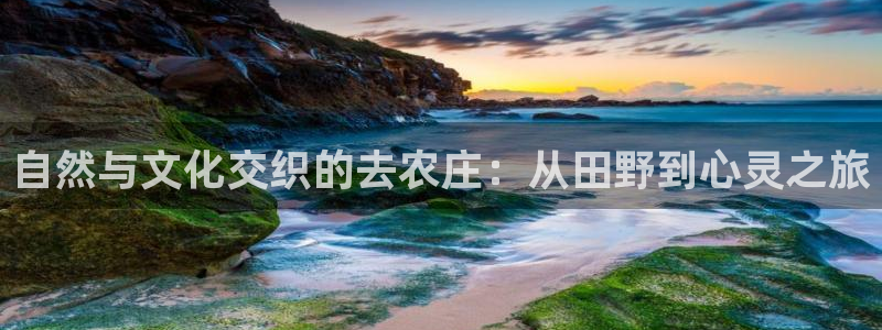 必一体育app官方