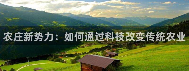 必一体育是啥