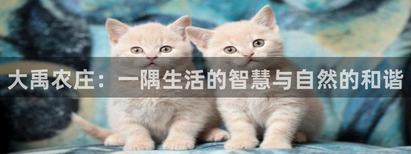 必一体育运动官网