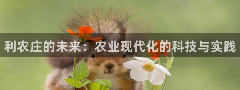 必一体育app平台下载