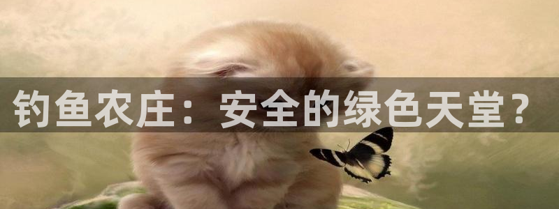 必一运动体育官网