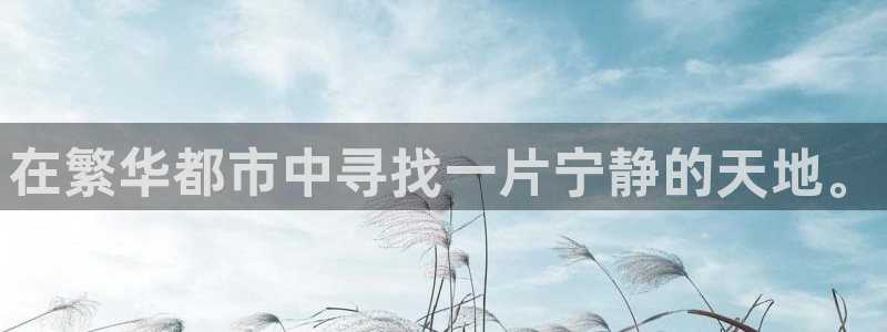 必一体育下载入口