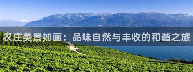 必一体育皮尔斯