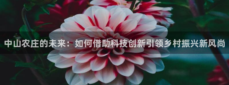 必一体育官网ios下载