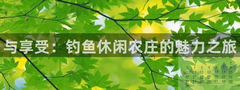 必一体育网址