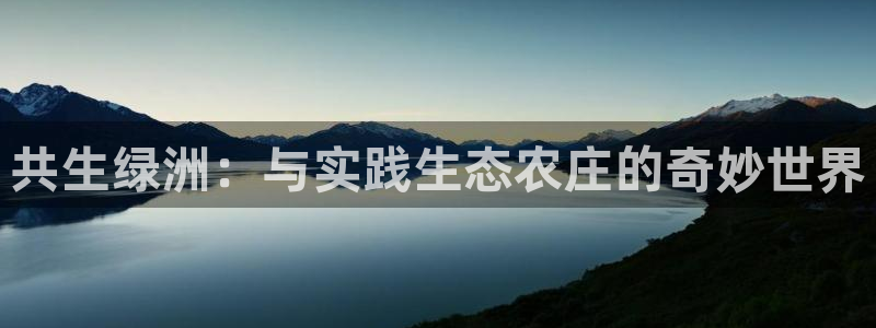 必一体育怎么下载