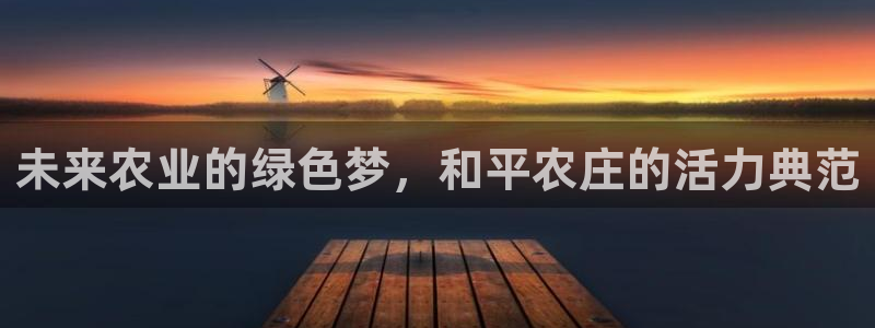 必一体育合法吗