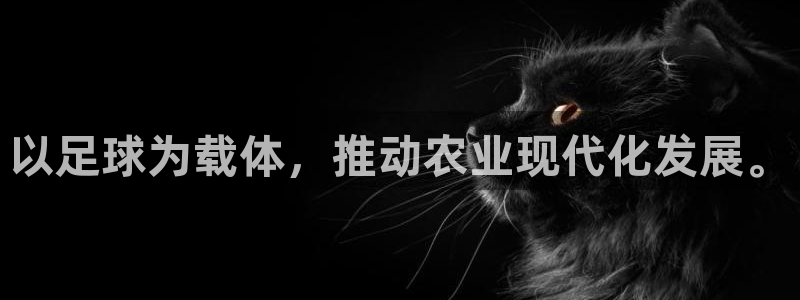 必一体育验证码