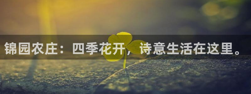 必一体育app官方网站