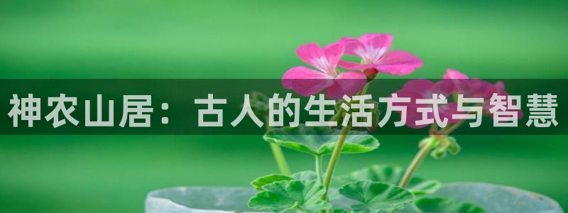 必一运动听的歌