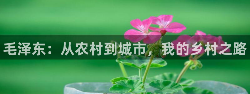 必一体育登录入口APP