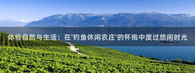 必一体育app下载最新版本