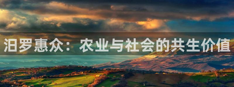 必一体育运动app下载